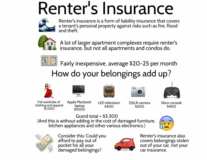 Renter’s insurance options